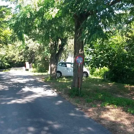 Country House Дом отдыха